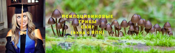 дживик Дмитровск