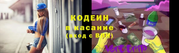 соль ск Дмитров
