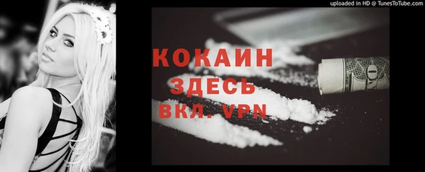 кокс Дмитриев