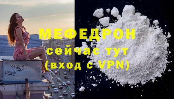 соль ск Дмитров