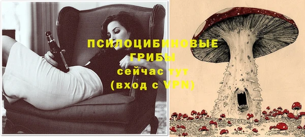 дживик Дмитровск