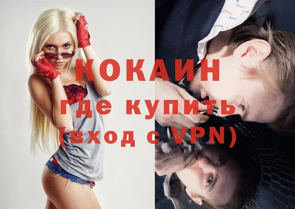 кокс Дмитриев
