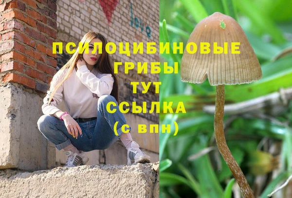дживик Дмитровск