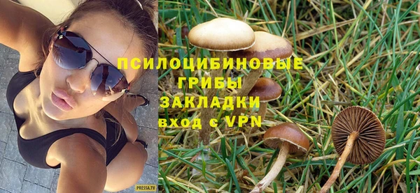 соль ск Дмитров