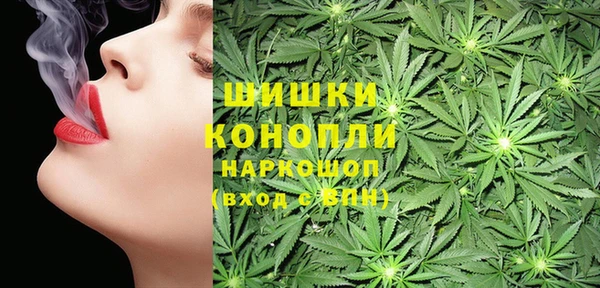 соль ск Дмитров