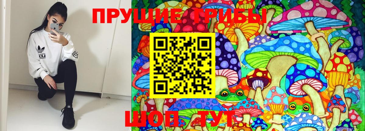 Псилоцибиновые грибы GOLDEN TEACHER Канск