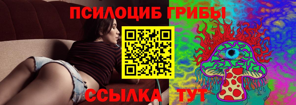 Галлюциногенные грибы Magic Shrooms  Вход с VPN  Канск  как найти   Псилоцибиновые грибы GOLDEN TEACHER 